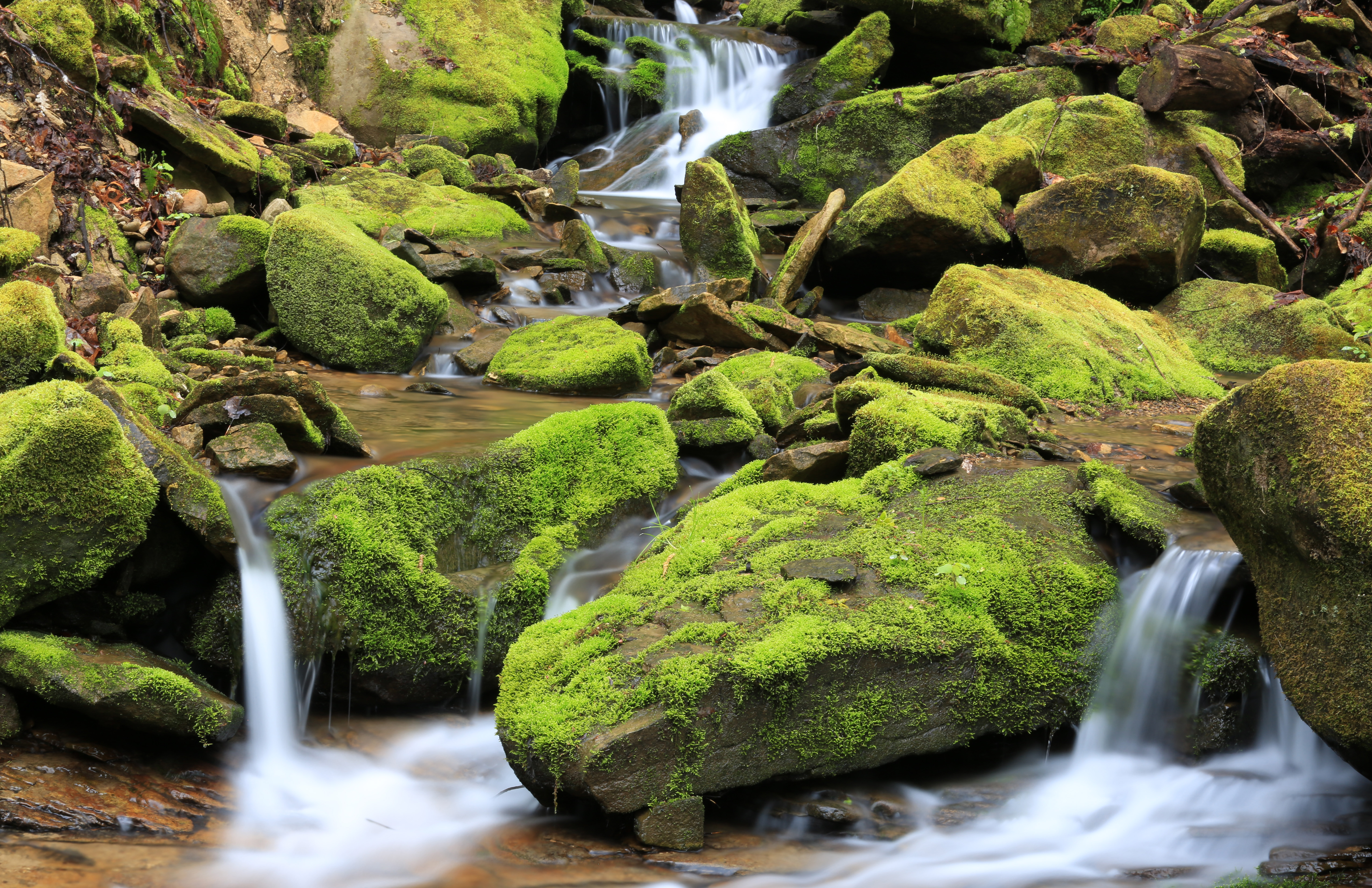 Flowing-Water_Maurice-Goddard-Sate-Park_Philip-OConnell.JPG